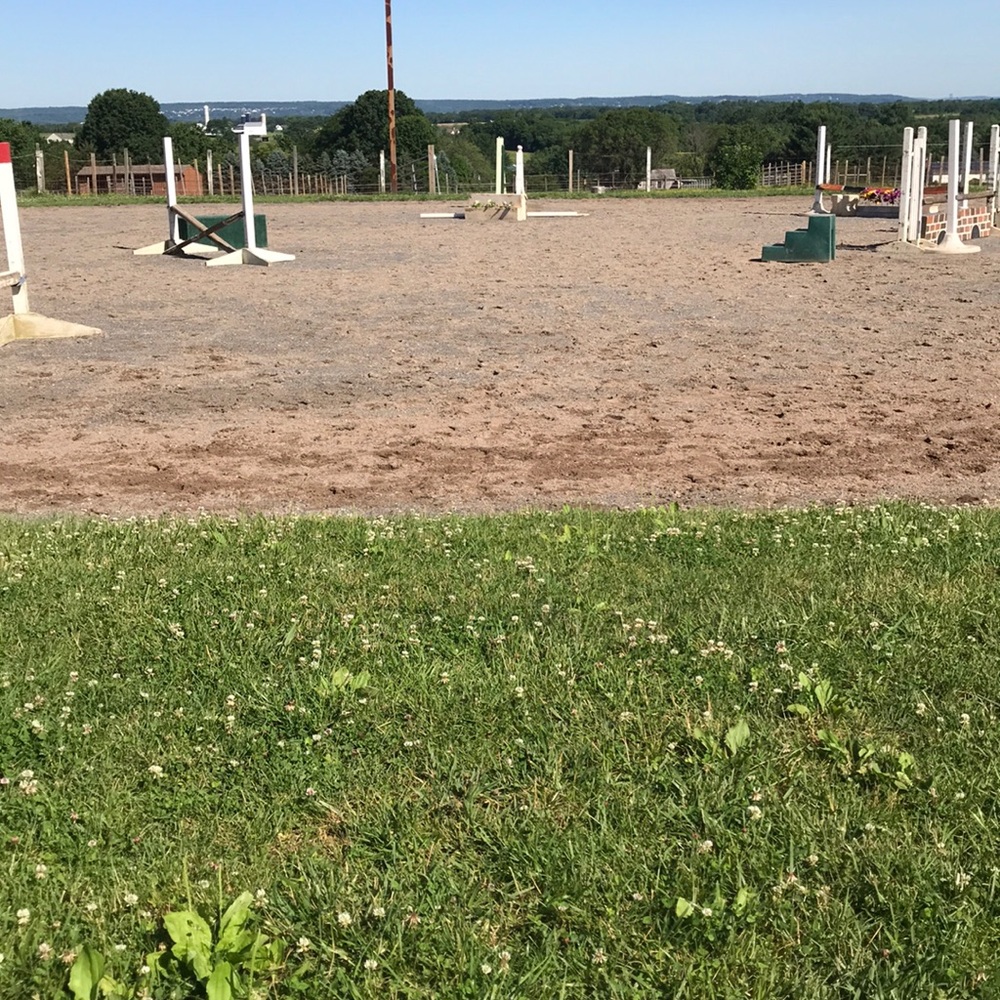 Meet your Posher, Diane